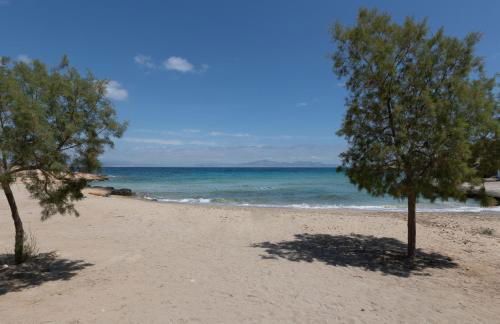 Oinoni's Home - ALEXANDROS studio - Foto 19