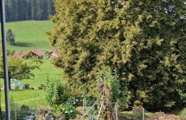 Der perfekte Ausgangspunkt - Foto 19