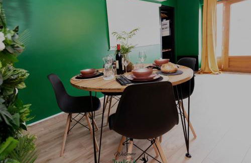 MAISON "Jungle House" 90 m2 BILLARD, RÉTROPROJECTEUR, BAR À JEUX , VINYLE, WIFI FIBRE, idéal PRO & FAMILLE à Montbrison - Foto 11