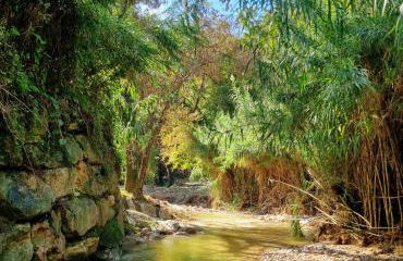 Villa Riviera - Foto 31