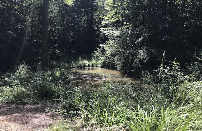 Private and Secluded Cabin in Rowfant - Foto 19