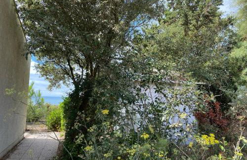 Maison vendéenne rénovée, accès direct plage, terrasses, BBQ, parking gratuit - FR-1-336-123 - Foto 23