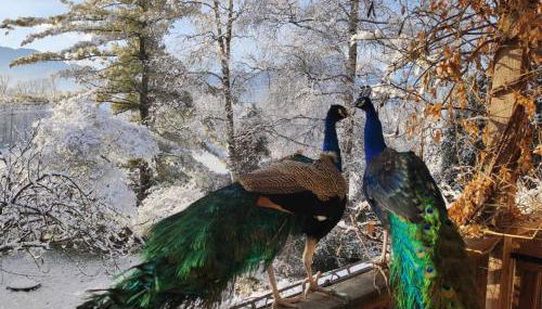 BioAgriturismo Vegan Campo di Cielo - Foto 4