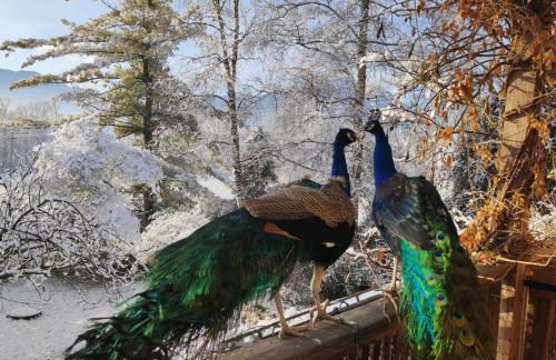 BioAgriturismo Vegan Campo di Cielo - Photo 4