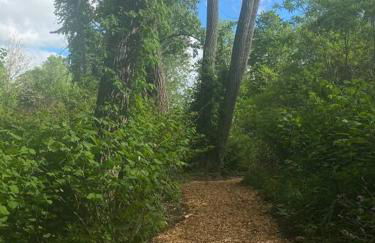 Murphys Law Inn 5 - Foto 20