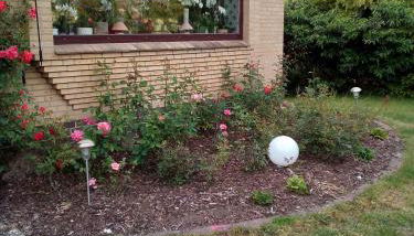 Ferienwohnung - Foto 5