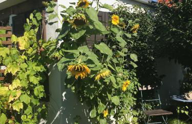 Haus Vicus - Foto 56