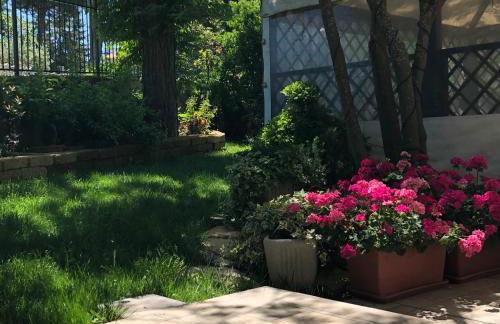 la casetta del tesoro - Foto 11