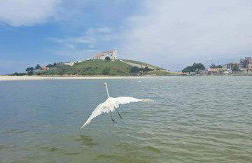 Gruta da Praia 1 - Foto 11