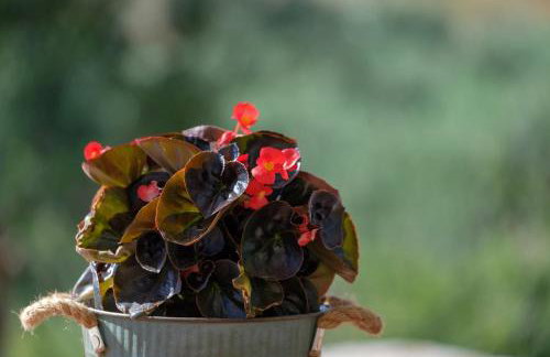 Trochalo Villas 2 - Foto 20