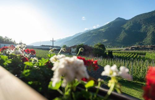 Pixnerhof - Ferienwohnung Golden - Foto 4