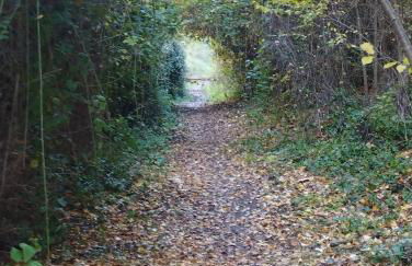 VILLA Elisabeth con Piscina Climatizada Chimenea y Terraza - Foto 26