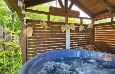 Domek Drwala k. Karpacza - Foto 4