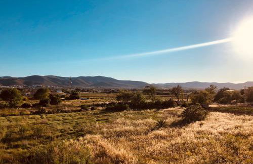 Apartamento Solmar - Foto 11