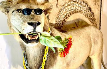 Sleep with a LION! 3 bedroom, near Downtown, Tremont, Ohio city!! - Foto 7