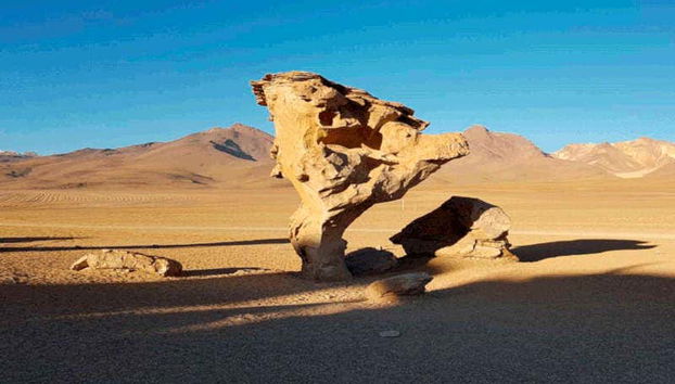 Deserto di Salvador Dalí