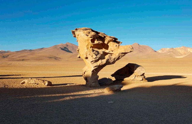 Excursão de 3 dias a Uyuni - Foto 6