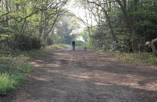 Wimbledon Views - Foto 13