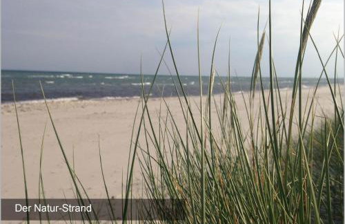 Küstenbude Strandmuschel - Foto 39