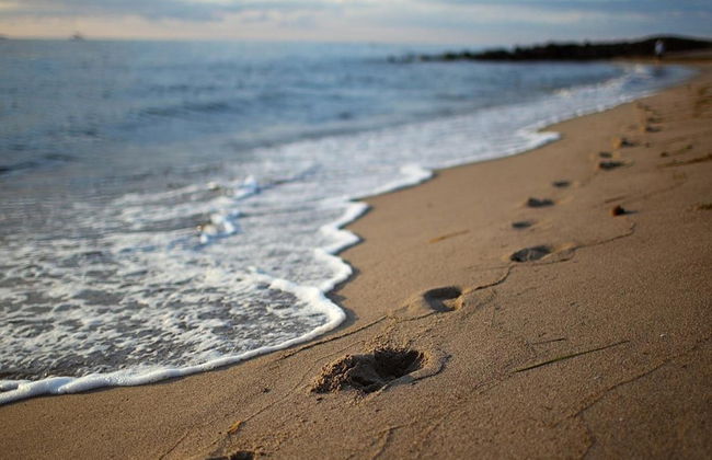 Vacation Complex in Sellin by Sea - Photo 17