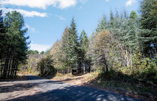 Cevennes Stone Retreat - Foto 22