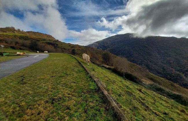 Escursione alla Grotta di El Soplao - Foto 2
