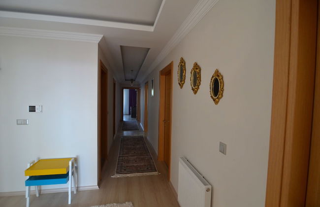 Elite Suite - Photo 7