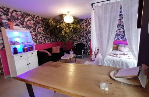 Romantisme et glamour 2 avec spa , clim et jardin - Foto 27