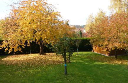 Chambre d'hôtes de Florence - Photo 20