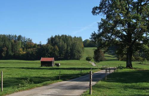 Malerhaus am Kolbergarten - Foto 40