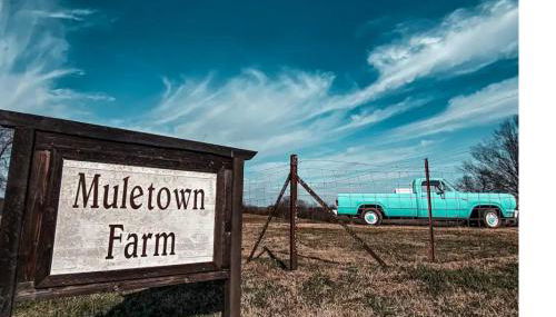 Crocketts Cabin - Foto 3