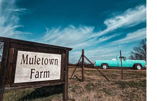 Crocketts Cabin - Foto 3