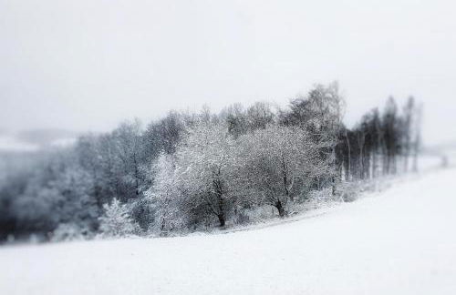 Ferienwohnung am Atelier Horn - Photo 30