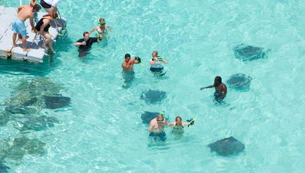 Stingray Spotting Experience in Stingray City Antigua - Foto 4