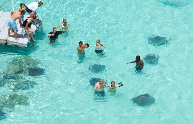 Stingray Spotting Experience in Stingray City Antigua - Photo 4