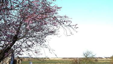 An der Marsch 27, Haus auf Föhr OG - Foto 2