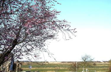 An der Marsch 27, Haus auf Föhr OG - Foto 2