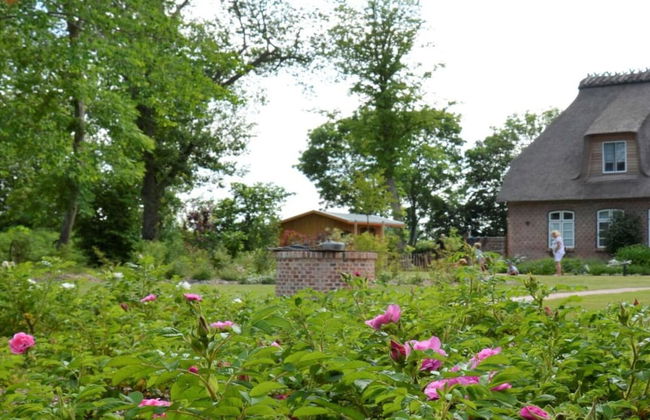 Holiday Apartment Domstag "kos" - Foto 1