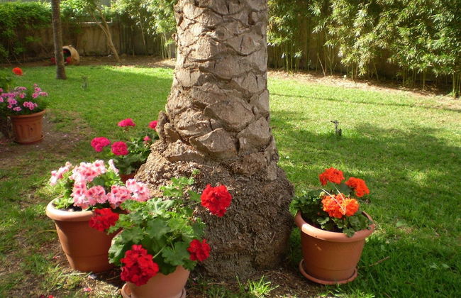 Apartamentos El Oasis - Foto 25