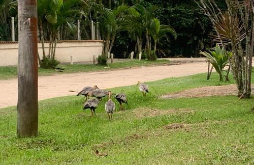 SUÍTE PRIVATIVA RIVIERA & ITAGUARÉ 100mts de 2 praias! - Foto 10