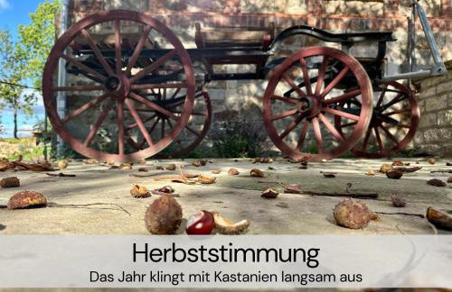 HexenburgbeiDresden mit Faßsauna Stylishes Designerappartement mit Schlafsofa, Terrasse - Nähe Sächsische Schweiz Dresden - Foto 31