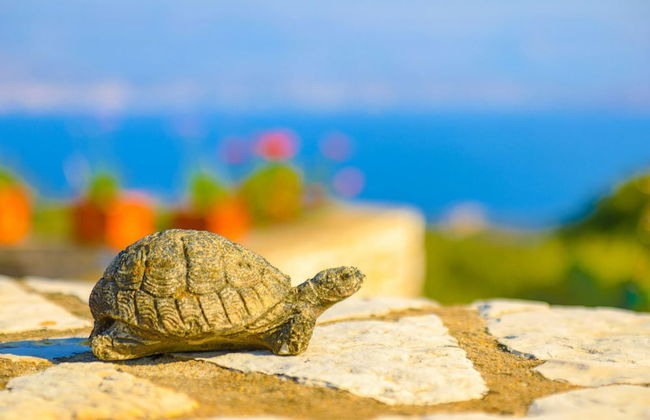 Villa Helona in Lithiasmenos - Photo 56