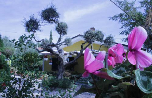 Bloemenhuis - Foto 1