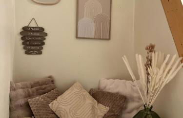 Appart Duplex Proche Centre - Foto 24