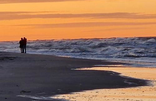 Wydmy Wiatr - Foto 44