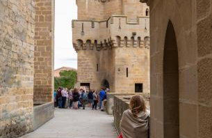 Apartamentos Ribera Navarra - Bardenas - Photo 36
