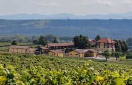 Tenuta Montebello - Foto 1