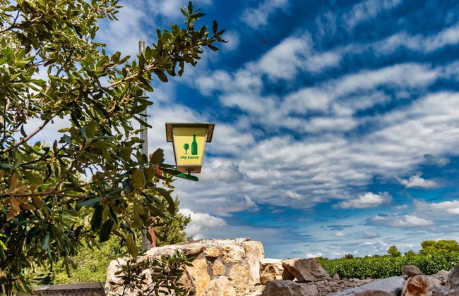 Vintage Winehouse Backov - Foto 34