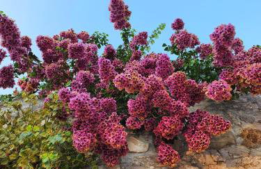 Petra Apartment - Foto 61