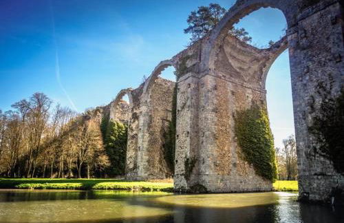 Grain de Blé,Apt lumineuxà 2 pas du centre de chartres et du colisée - Foto 17